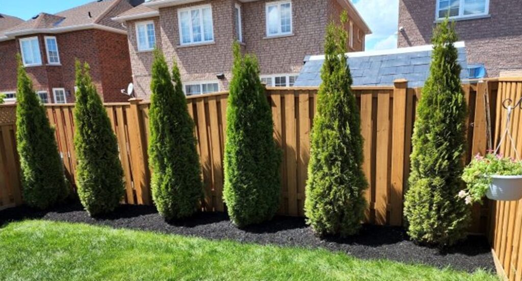 Magic of Whitby Landscaping